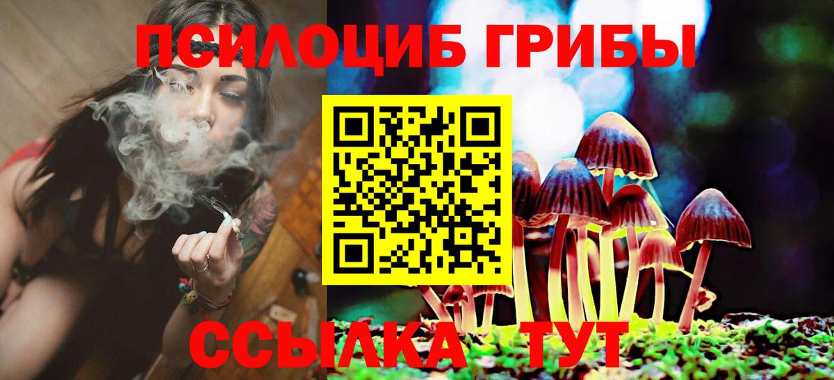 Псилоцибиновые грибы прущие грибы Новоалександровск