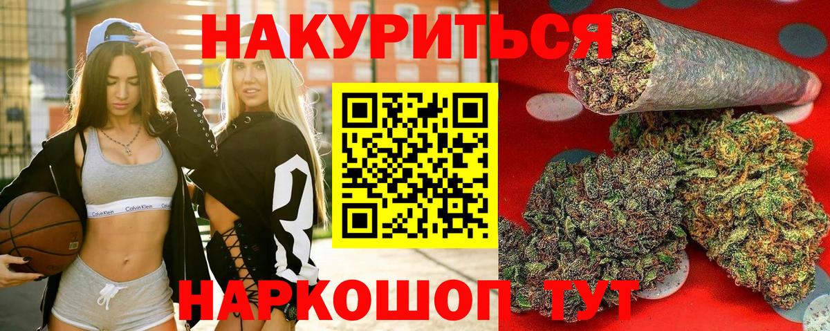 Канабис сатива Новоалександровск